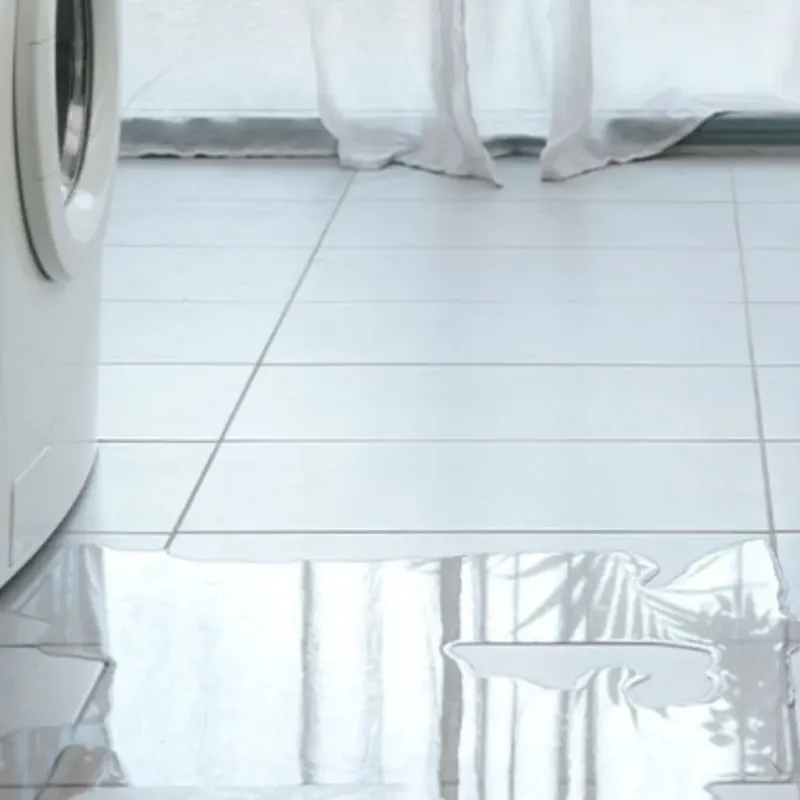 Appliance Leak Cleanup in Craig, AK