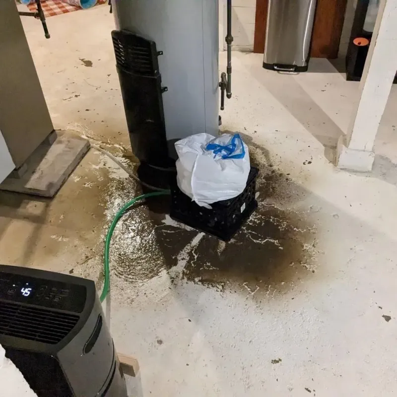 Sewage Backup Cleanup Service in Craig, AK
